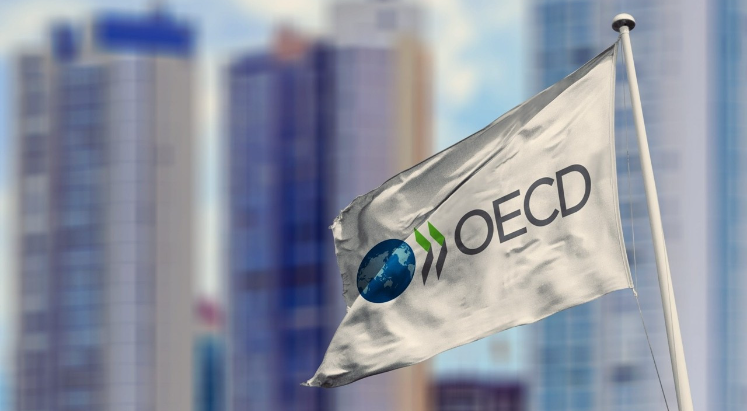 OECD'den Türkiye değerlendirmesi: Enflasyonun düşmesini bekliyoruz
