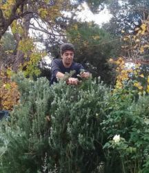 Akdeniz’in şifalı bitkileri The Farm’da konuşulacak