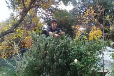 Akdeniz’in şifalı bitkileri The Farm’da konuşulacak