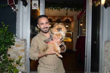 Güzellik birincisi köpek ortadan kayboldu