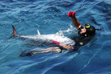Antalya'da 32 orkinosa uydu cihazı takıldı