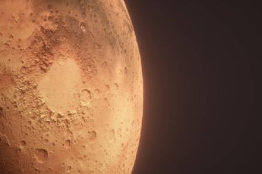 Mars'ta hayatta kalabilecek bir bitki bulundu