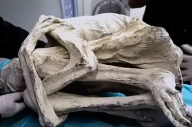 Peru’daki ‘Uzaylı Mumya’ iddiasında yeni gelişme