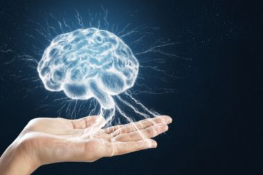 Uzaya fırlatılan insan mini beyinleri beklenmedik bir şekilde gelişti