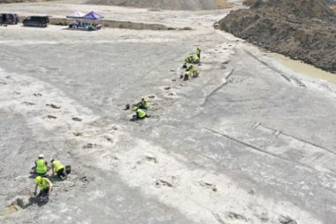 İngiltere'de dinozor izleri bulundu