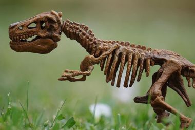 Milyonlarca yıl önce yaşamış iki parmaklı yeni dinozor türü keşfedildi