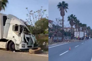 Sebze yüklü tır refüjdeki palmiye ağacına çarptı