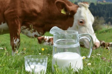 Toplanan inek sütü miktarı martta 1 milyon tonu aştı