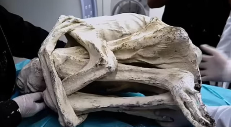 Peru’daki ‘Uzaylı Mumya’ iddiasında yeni gelişme