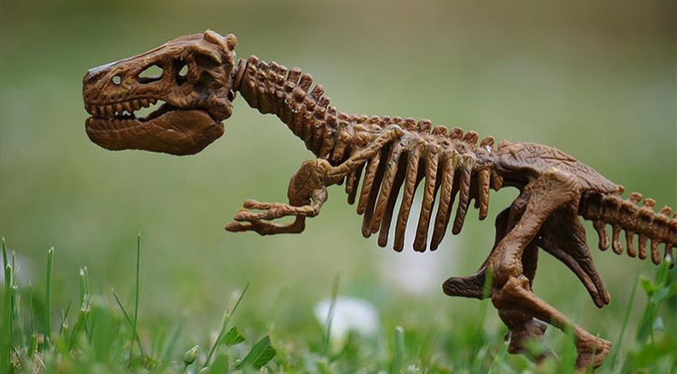 Milyonlarca yıl önce yaşamış iki parmaklı yeni dinozor türü keşfedildi